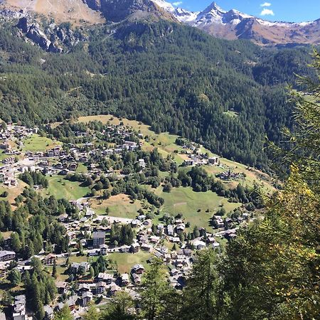 B&B Lepetitnid Valtournenche Eksteriør billede